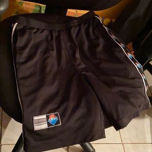 Pink Dolphin Shorts